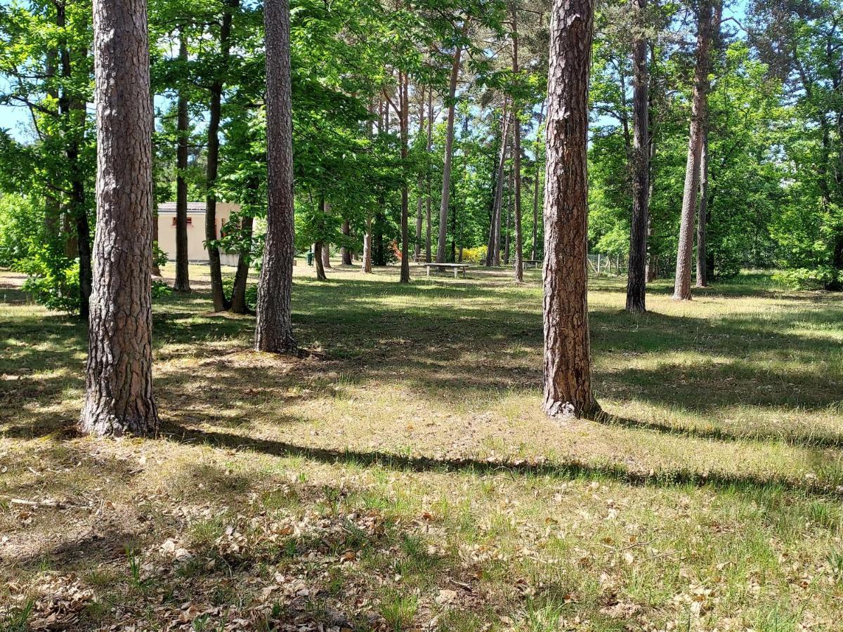 Camping Onlycamp Les Pins Nancay Ngoại thất bức ảnh