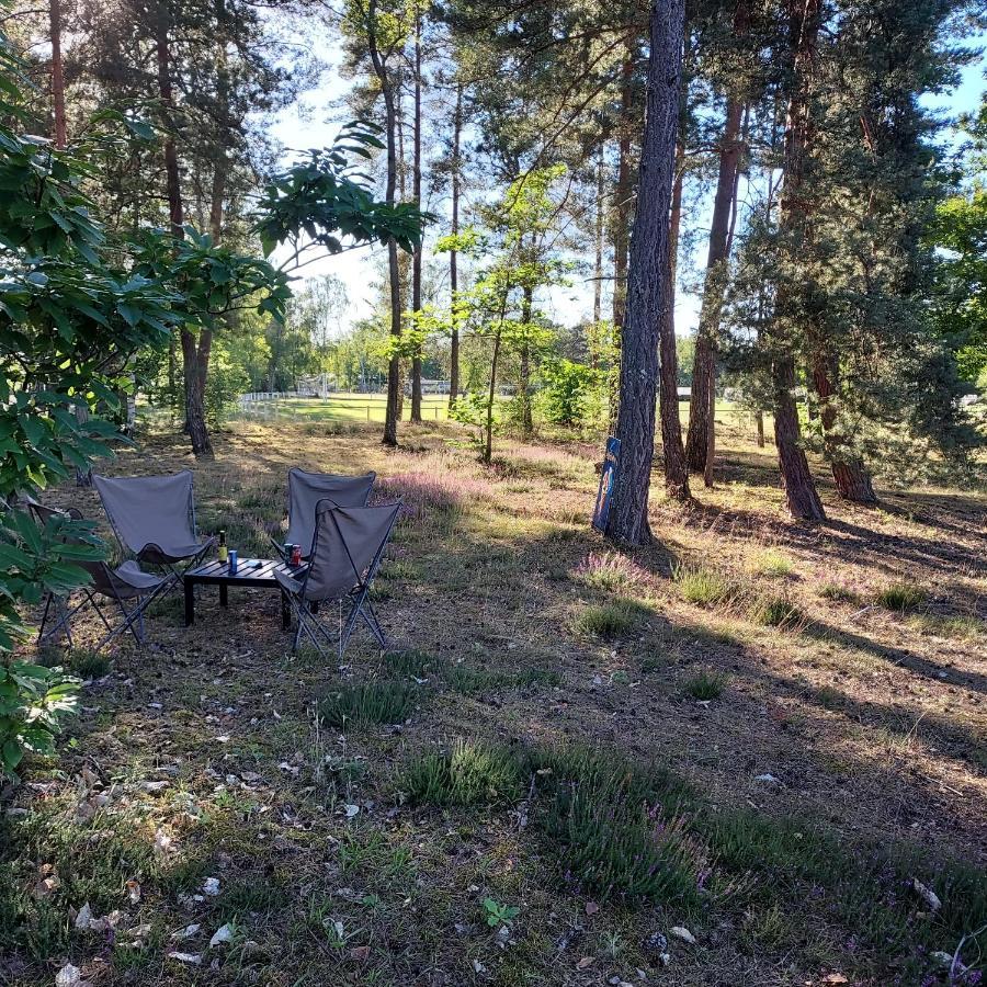 Camping Onlycamp Les Pins Nancay Ngoại thất bức ảnh